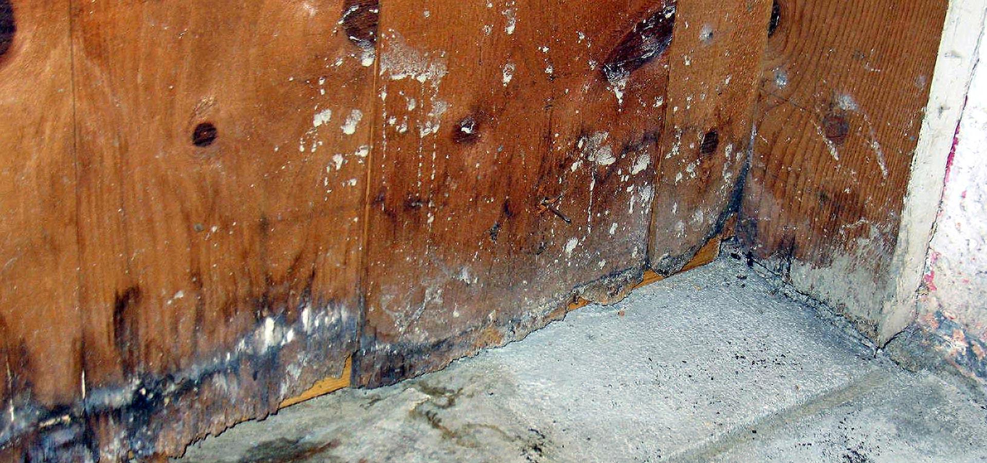 Water Intrusion