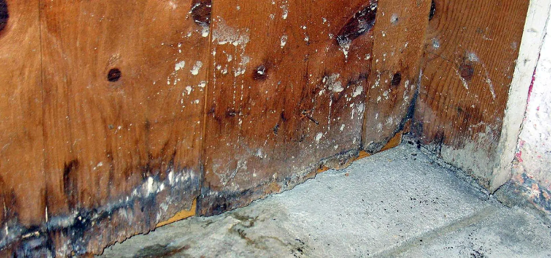 Water Intrusion