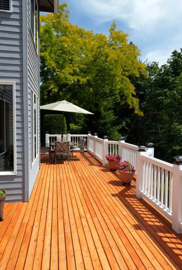Deck 691x1024 1