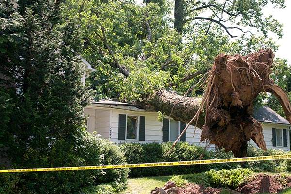 Storm Restoration Featured Image