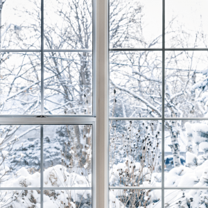 snowy window