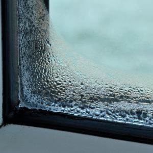 window condensation